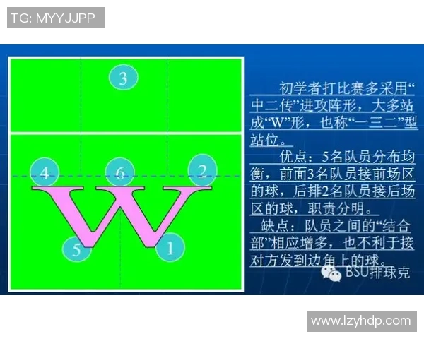 广州排球队战术解析与对比深度剖析球队优势与不足之处 广州排球队战术解析与对比深度剖析球队优势与不足之处
